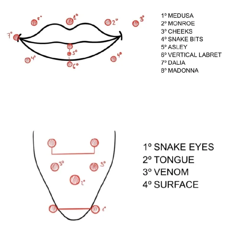 Tipos de Piercing Zonas Tipos de Piercing Zonas