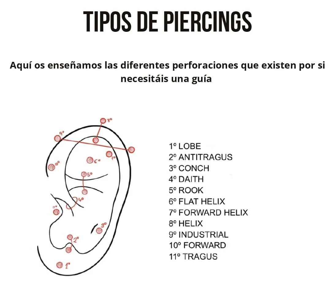 Tipos de Piercings Tipos de Piercings